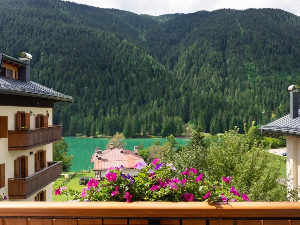 Hotel Erika 奥伦佐卡多利 外观 照片